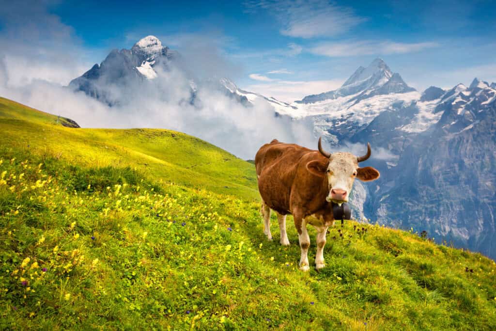 Zertifizierung – LuxAgro Bio-Siegel