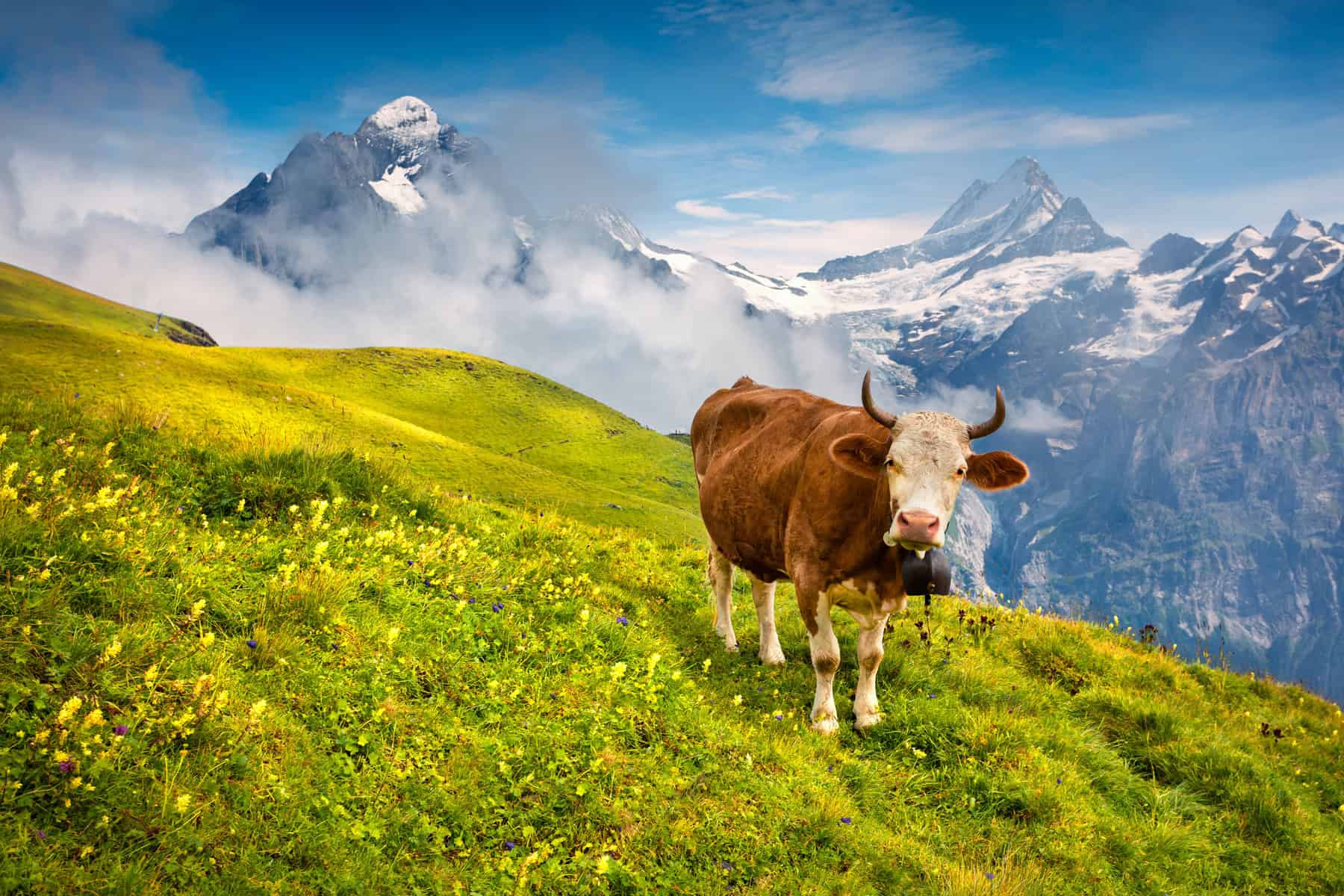Zertifizierung – LuxAgro Bio-Siegel