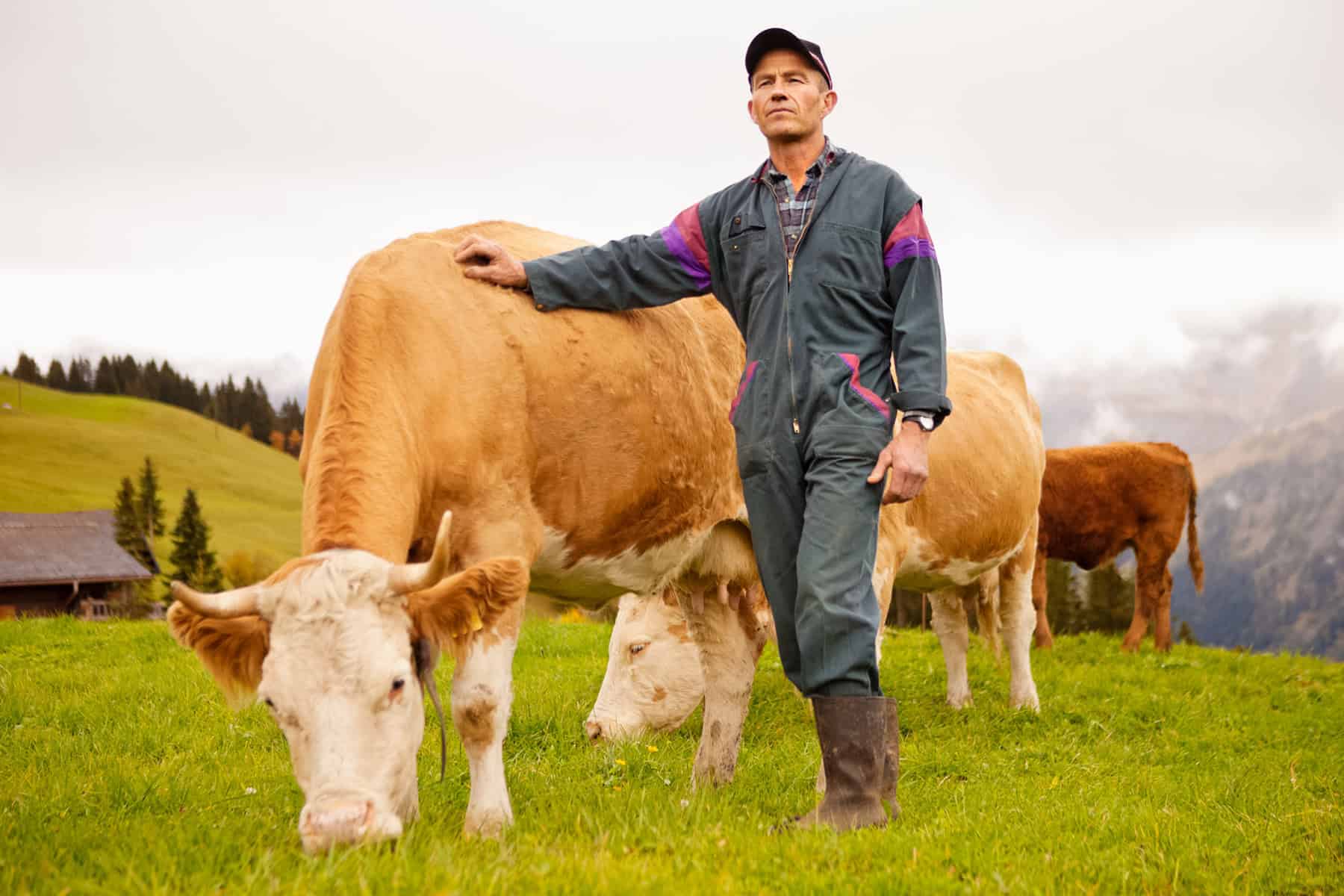 Schweizer Landwirt steht mit Hand auf einer Kuh auf der grünen Weide.