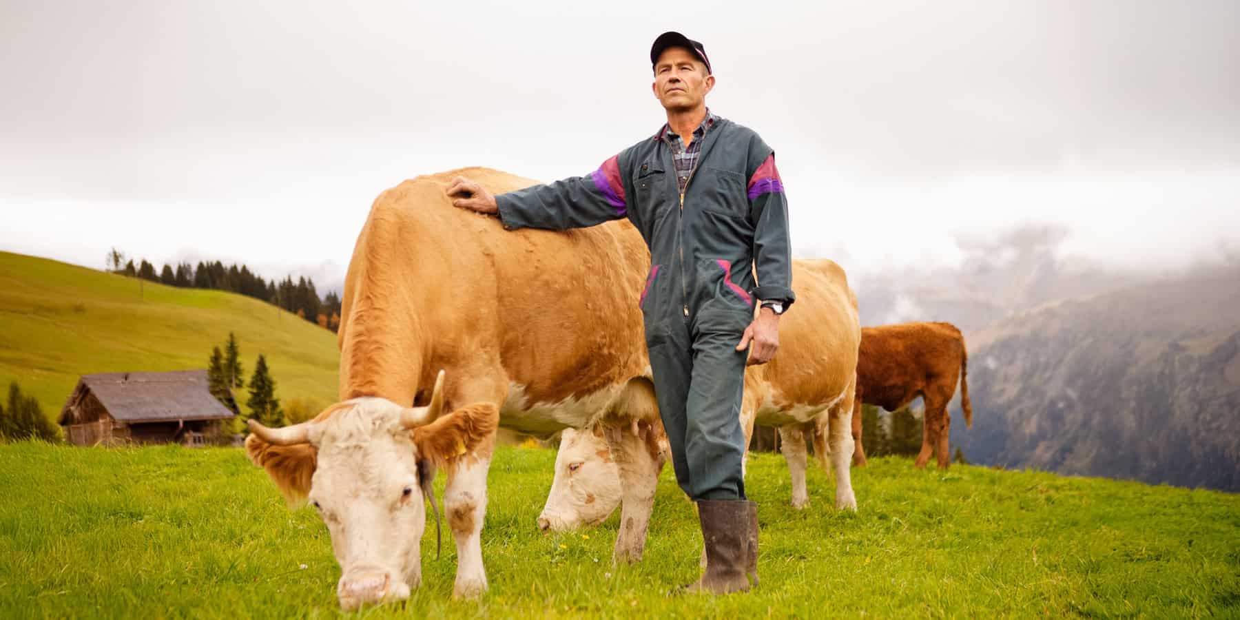 Schweizer Landwirt steht mit Hand auf einer Kuh auf der grünen Weide.