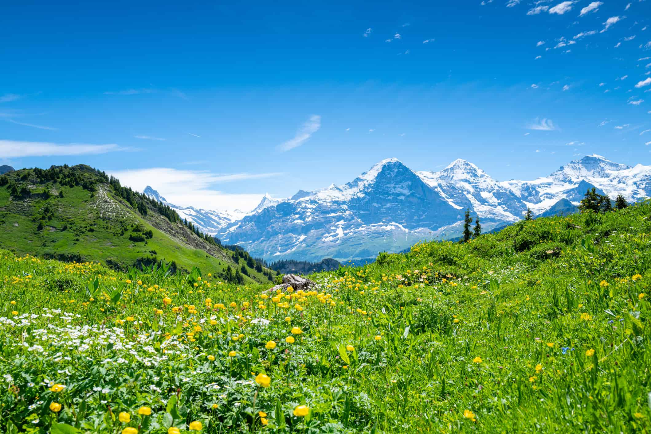 Malerischer Blick auf die Schweizer Alpen im Sommer