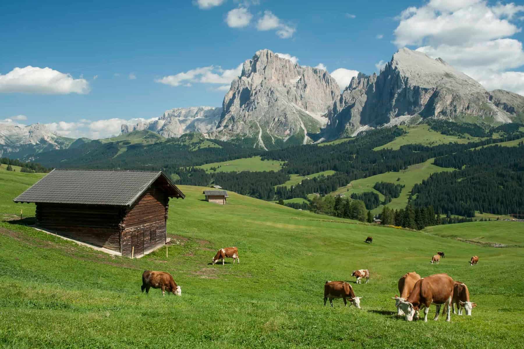 Swissness Luxagro