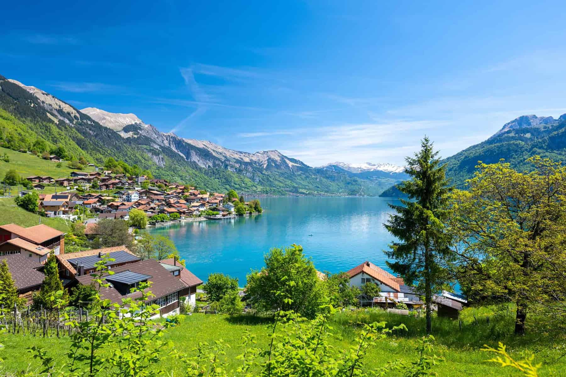 Luxagro Siegel Schweiz